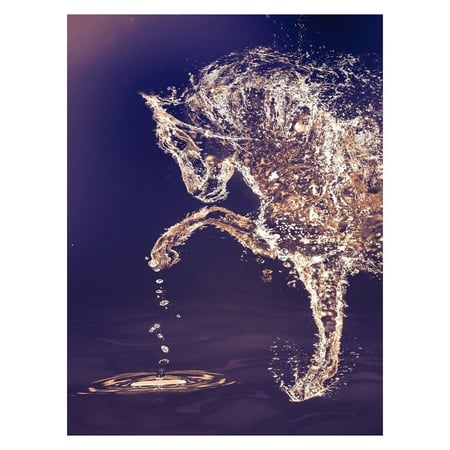 لوحات فنية خيل بالماء بخلفية ازرق غامق