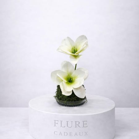 ورد طاولة خدمة FL2