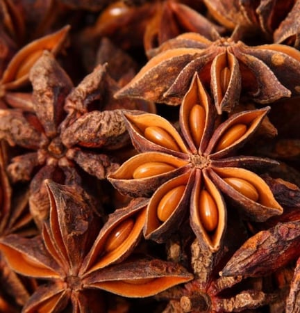 نجمة الينسوان