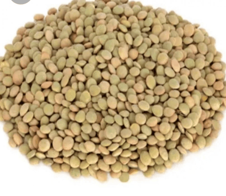 عدس اخضر ابو جبة