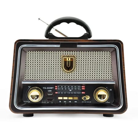 راديو DENX DX2442 متعدد الوظائف  1