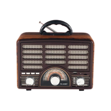 راديو DENX DX2443 بتقنية HiFi  1