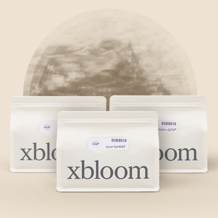 مجموعة إكسبودز عبلة