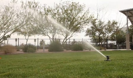 رشاش  ماكس باو  من رين بيرد