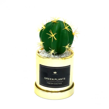 تحفة ذهبية زجاجية شجر صبار