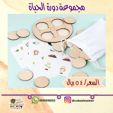 مجموعة دورة الحياة