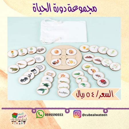 مجموعة دورة الحياة-مكعب الوتين