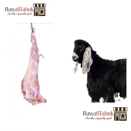 تيس بلدي كامل