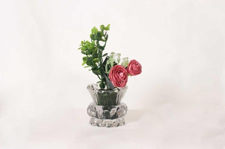 ورد ضيافه