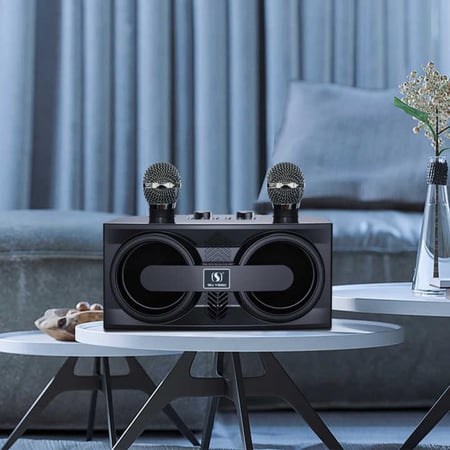 ستيريو ميكروفون محمول باليد المزدوج