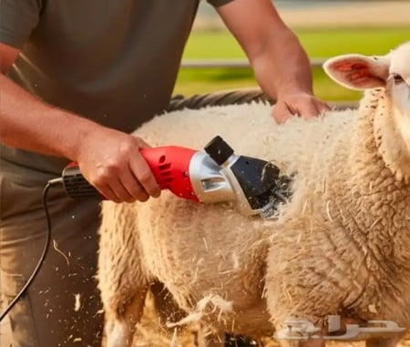 مكينة قص صوف الأغنام والماشية الاحترافية بقوة 900 واط من دينكس DENX موديل DX3325