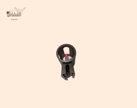 نيشان ديانا امامي فسفوري صيني