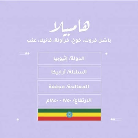 محمصة نسج - هامبيلا - اثيوبيا مجففة 250ج