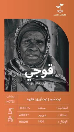 محمصة كوبر كب | قوجي اثيوبيا 250ج