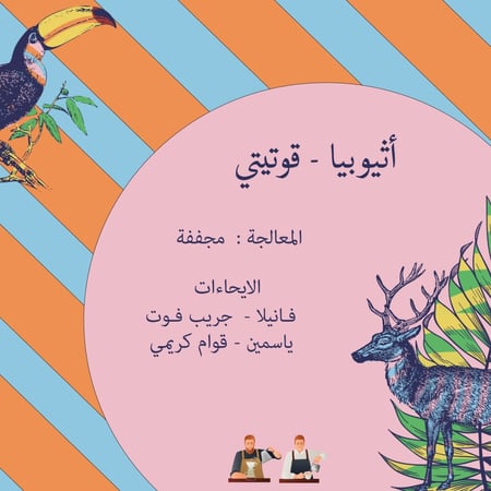 محمصة كرمله | أثيوبيا قوتيتي 250ج