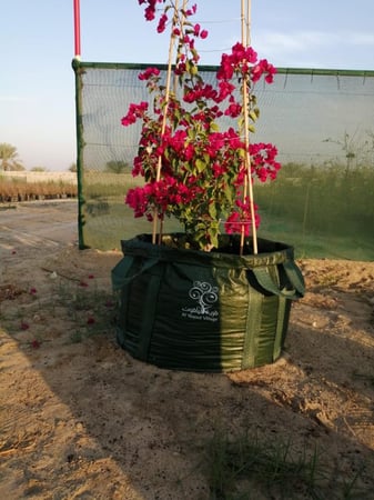 أكياس زراعية للأشجار 600لتر