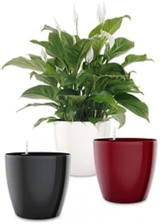 EMSA Casa Brilliant أحواض دائرية ذاتي الري