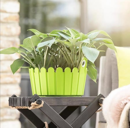 مزهرية للزهور والنباتات EMSA Landhaus Bowl