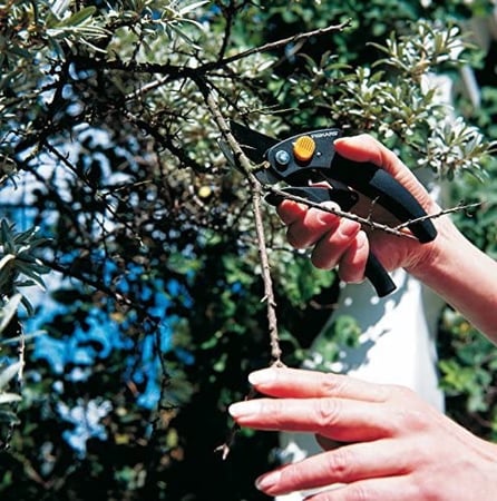 مقص أغصان