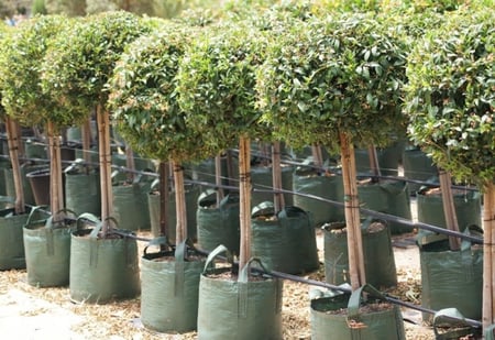 أكياس زراعية كبيرة للأشجار Planter Bags