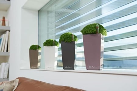 حوض نبات الماني ذاتي الري Lechuza Mini Cubi Premium