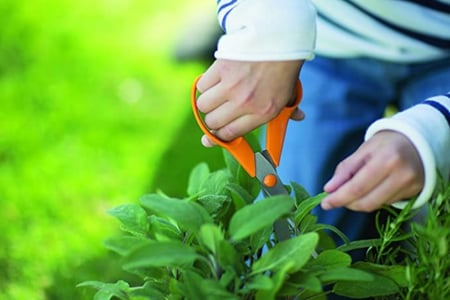 مقص حدائق وزهور