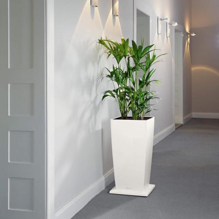 وحدة عجلات لحوض Cubico ماركة Lechuza