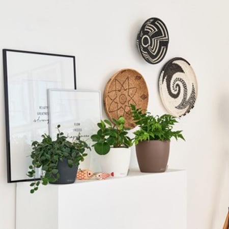 حوض نبات الماني ذاتي الري  Lechuza Classico Premium