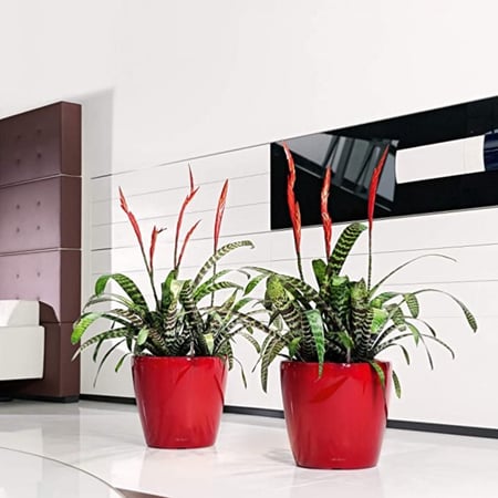 حوض نبات الماني ذاتي الري Lechuza Classico Premium LS