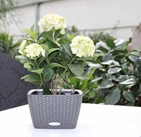 حوض نبات ري ذاتي Lechuza Bacino Cottage