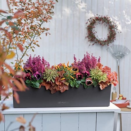 حوض نبات ري ذاتي الماني Lechuza Balconera Color