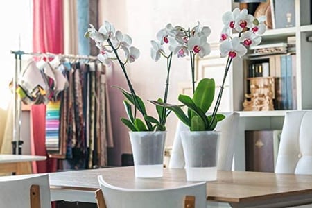 حوض أوركيد Arte-Dea ري ذاتي