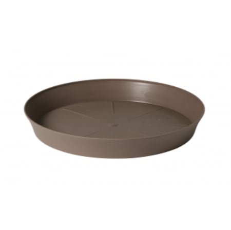 صحن Export دائري