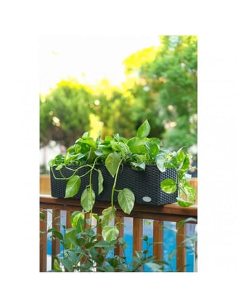 حوض Dopyo مستطيل ري ذاتي - 80سم