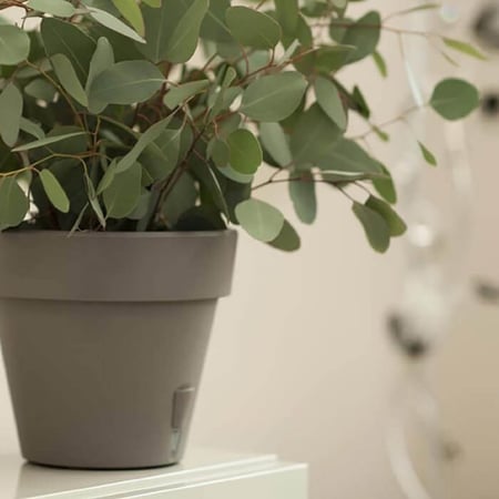 مراكن ري ذاتي اوروبي Santino Latina للنباتات الداخلية