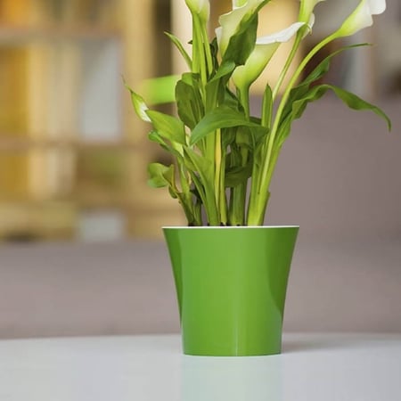 مراكن ري ذاتي اوروبي Santino Arte للنباتات الداخلية