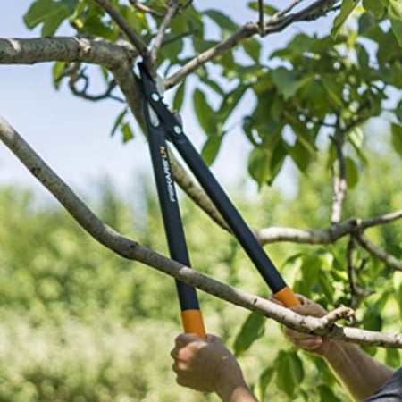 مقص أغصان Fiskars