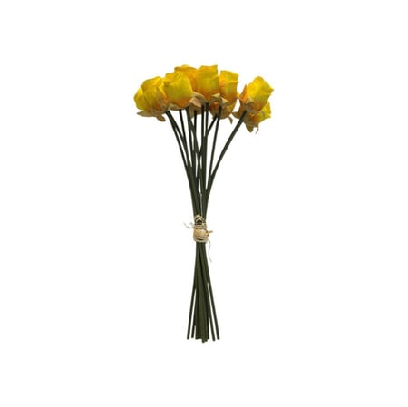 أغصان بيبي روز