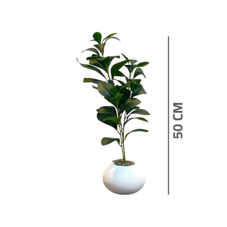 شتلات صغيرة