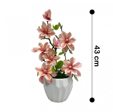 ماجنوليا بمبي بمركن سيراميك ارتفاغ 43 سم