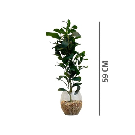 شتلات صناعية