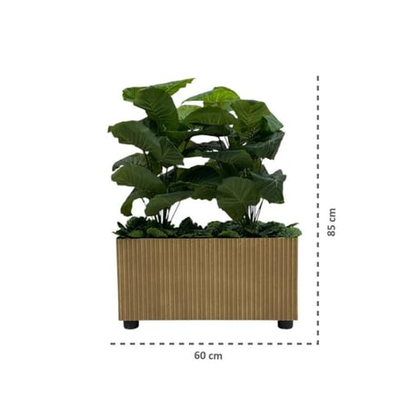 شتلة ورق أخضر جامبو حوض مستطيل