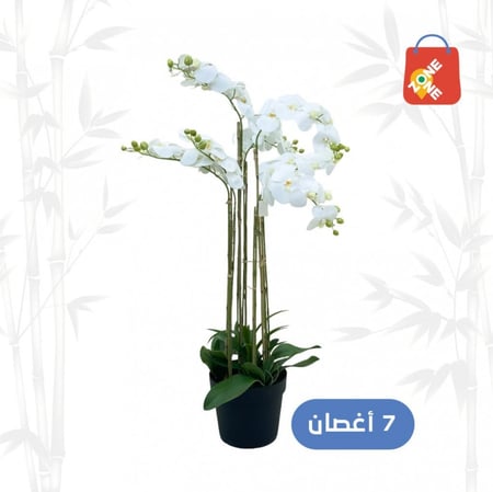 أوركيد 7 أغصان لون أبيض مع مركن بلاستك اسود وداعمات من الخشب