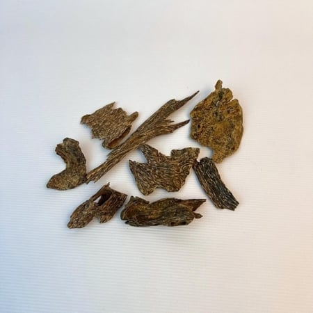 خشب عود ماليزي