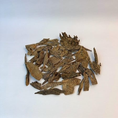 عود ماليزي صباح