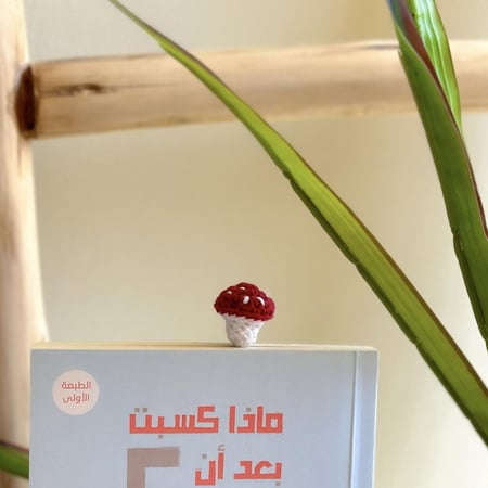 فاصل كتاب الفطر
