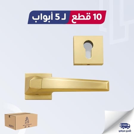 بكج 10 قطع  مقبض باب مفصول لون ذهبي