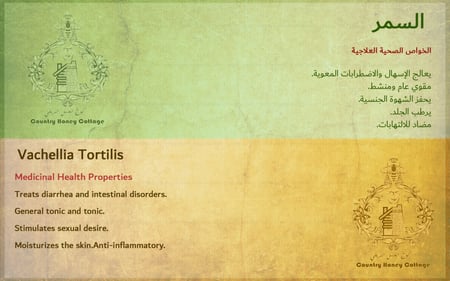 كوخ العسل - عسل السمر