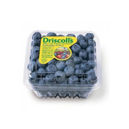 توت أزرق طازج