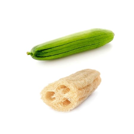 بذور الليف الطبيعي